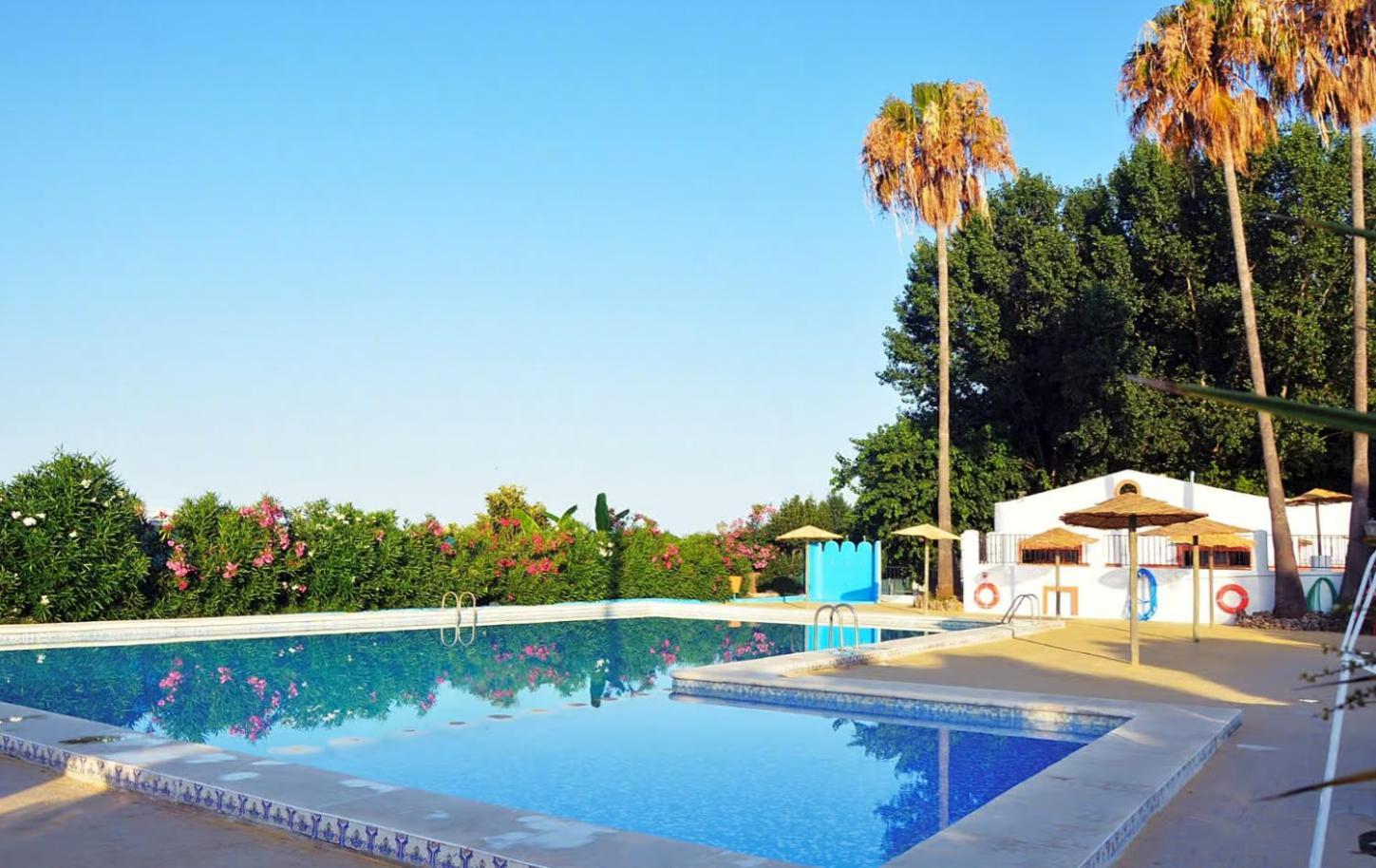 Holacamp Gandia Daimus