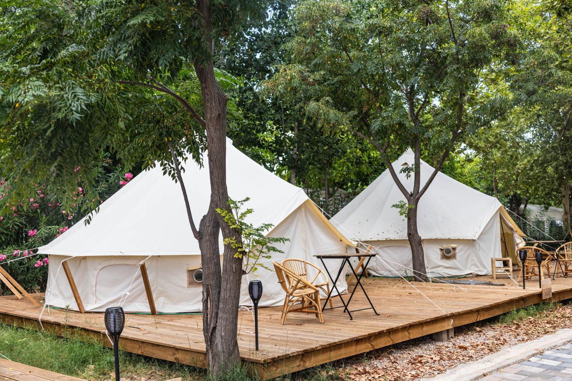 Holacamp Gandia * Daimus
